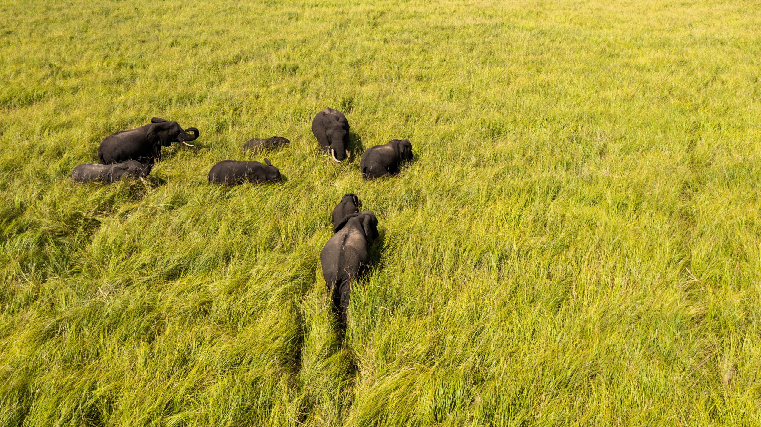 Tour: Maputo National Park Tour3