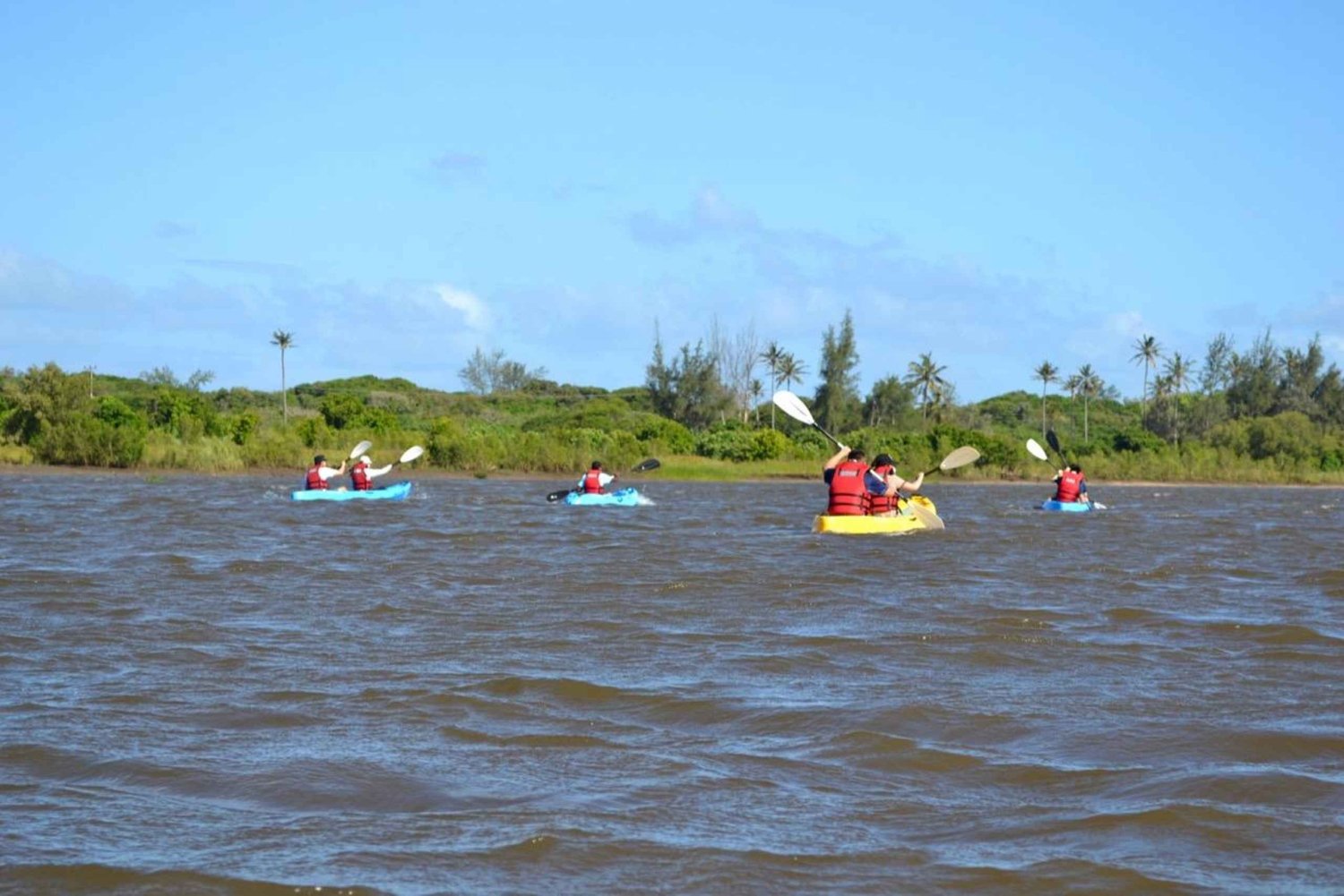 Kayaking through the islands of the Incomati River