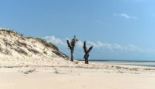 Tour: Transfer to Vilanculos Beach7