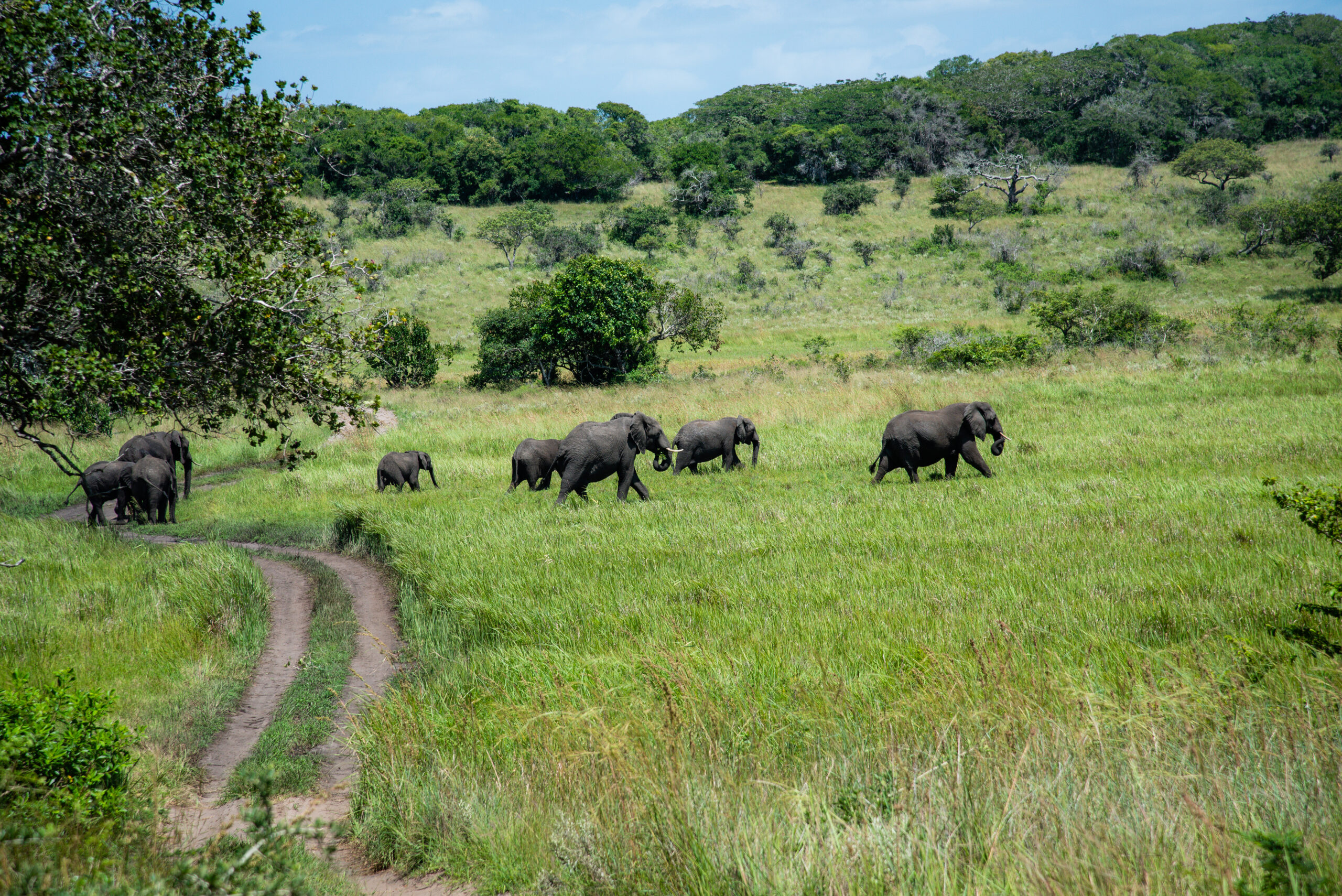 Tour: Maputo National Park Tour2