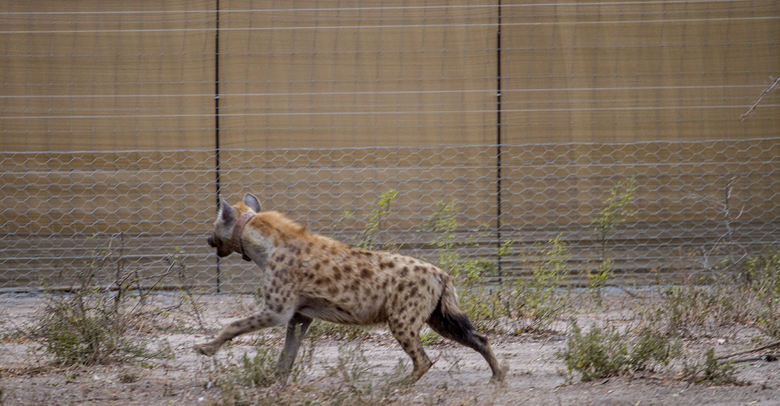 Tour: Maputo National Park Tour7