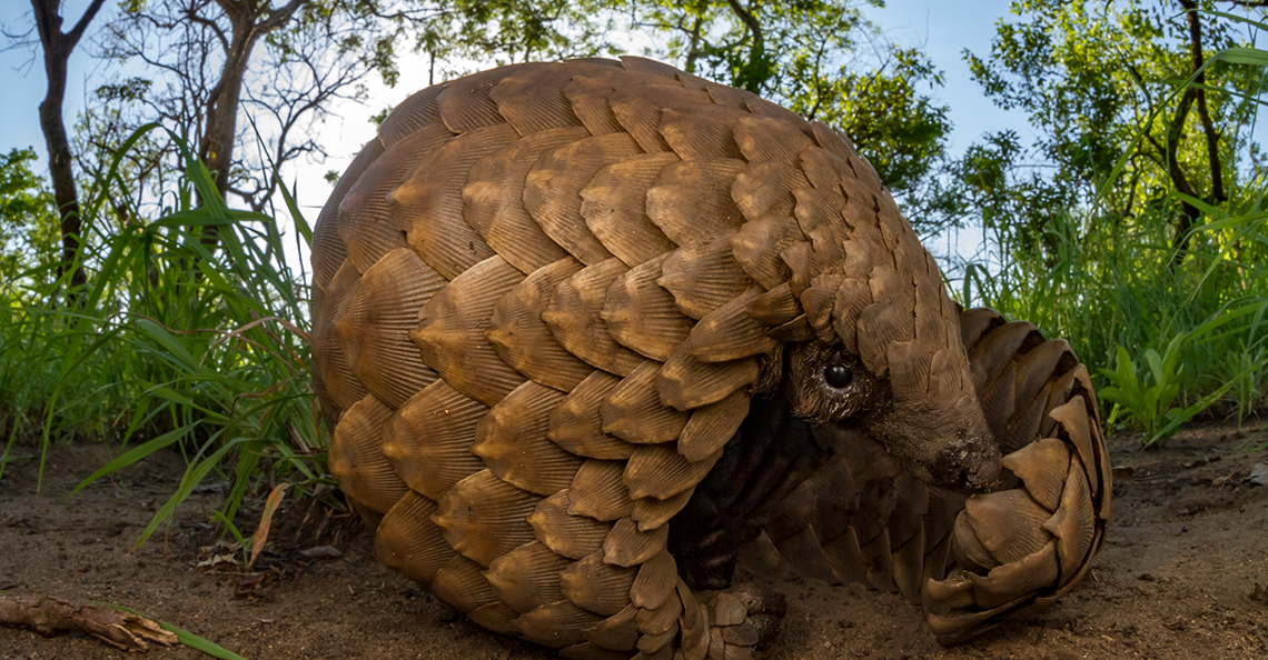 Tour: Maputo National Park Tour8
