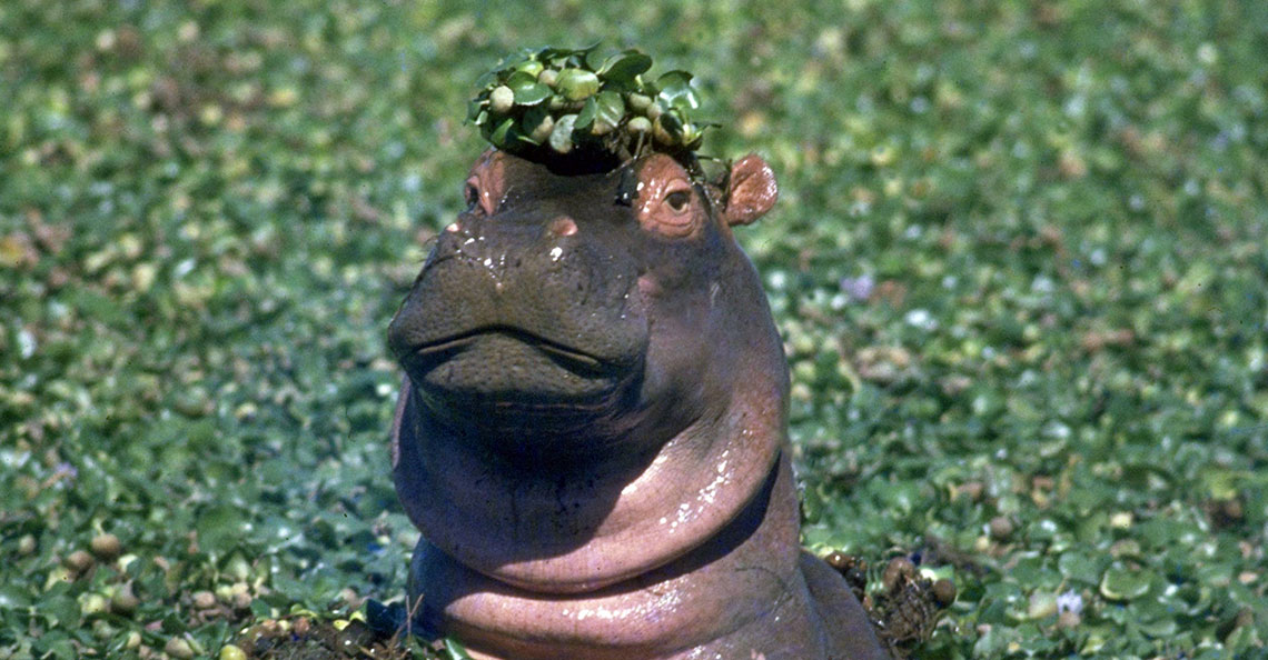 Tour: Maputo National Park Tour10