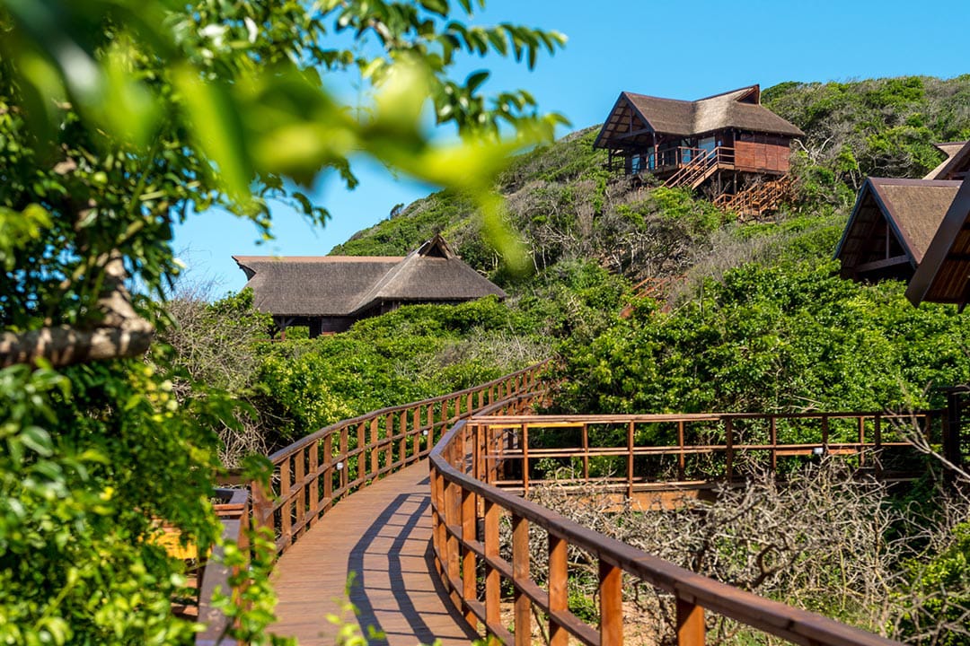 Tour: Transfer from Maputo to Ponta d`Ouro in Mozambique | CLARDIA Tours