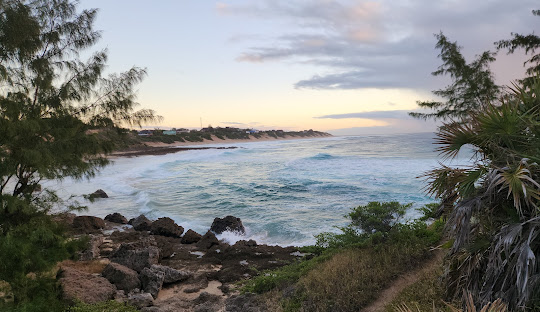 Tour: Transfer to Tofo Beach1