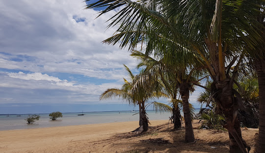 Tour: Transfer to Tofo Beach3